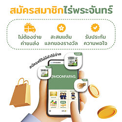 งาขาวคั่ว 21 งาขาวคั่ว - Image 11