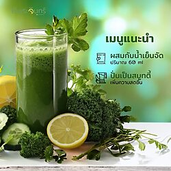 ผงผักสีเขียว 15 ผงผัก ผงผักเขียว ผงผักไฟเบอร์สูง ผงผักออร์แกนิค ล้างสารพิษ ผงผักเขียวดีทอก