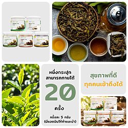 ผงชาอัสสัม 10 ผงชาอัสสัม - Image 3
