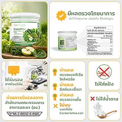 ผงผักสีเขียว 11 ผงผัก ผงผักเขียว ผงผักไฟเบอร์สูง ผงผักออร์แกนิค ล้างสารพิษ ผงผักเขียวดีทอก