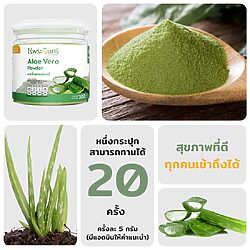 ผงว่านหางจระเข้ 14 ผงว่านหางจระเข้ - Image 7