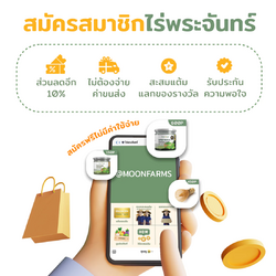 ผงผักสีขาว - Image 9