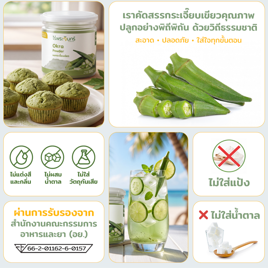 ผงกระเจี๊ยบเขียว กระเจี๊ยบเขียวผง กระเจี๊ยบเขียวบด ผงผัก ผักบดผง กระเจี๊ยบเขียว 100% Okra Powder Green Okra Powder