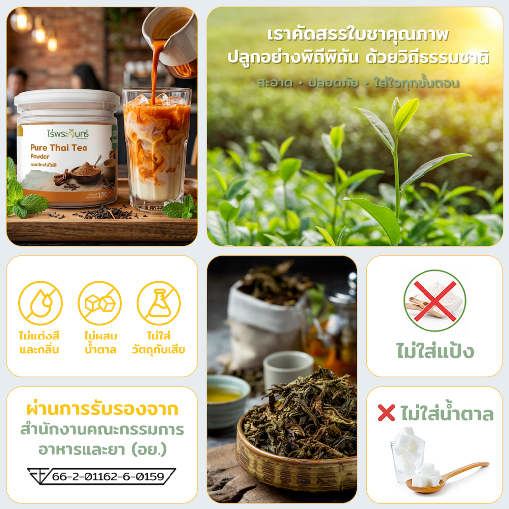 ผงชาไทยไม่ใส่สี 14 ผงชาไทยไม่ใส่สี ชาไทย ชาผง ชาไทยพรี่เมี่ยม ชาใต้ หอมเข้มข้น ผงชาไทยไม่แต่งสี PURE THAI TEA POWDER