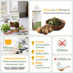 น้ำปลาเจคอมบุ Vegan Fish Sauce น้ำปลาวีแกน น้ำปลาเจ plant based น้ำปลามังสวิรัติ น้ำปลาเจจากสาหร่าย น้ำปลาเจเห็ดหอม เครื่องปรุงเจ