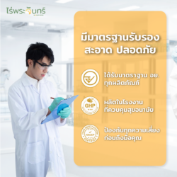 ผงชาไทยไม่ใส่สี 11 ผงชาไทยไม่ใส่สี - Image 5