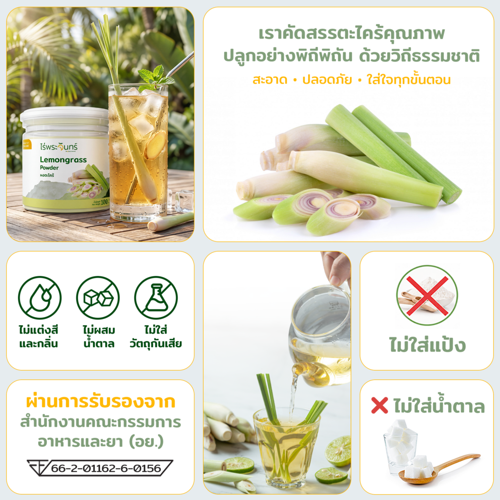 ผงตะไคร้ LEMONGRASS POWDER ตะไคร้ผง ตะไคร้บด ตะไคร้บดละเอียด ผงสมุนไพร สมุนไพรไทย