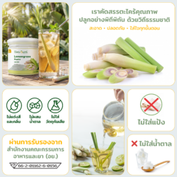 LEMONGRASS POWDER ตะไคร้ผง ตะไคร้บด ตะไคร้บดละเอียด ผงสมุนไพร สมุนไพรไทย