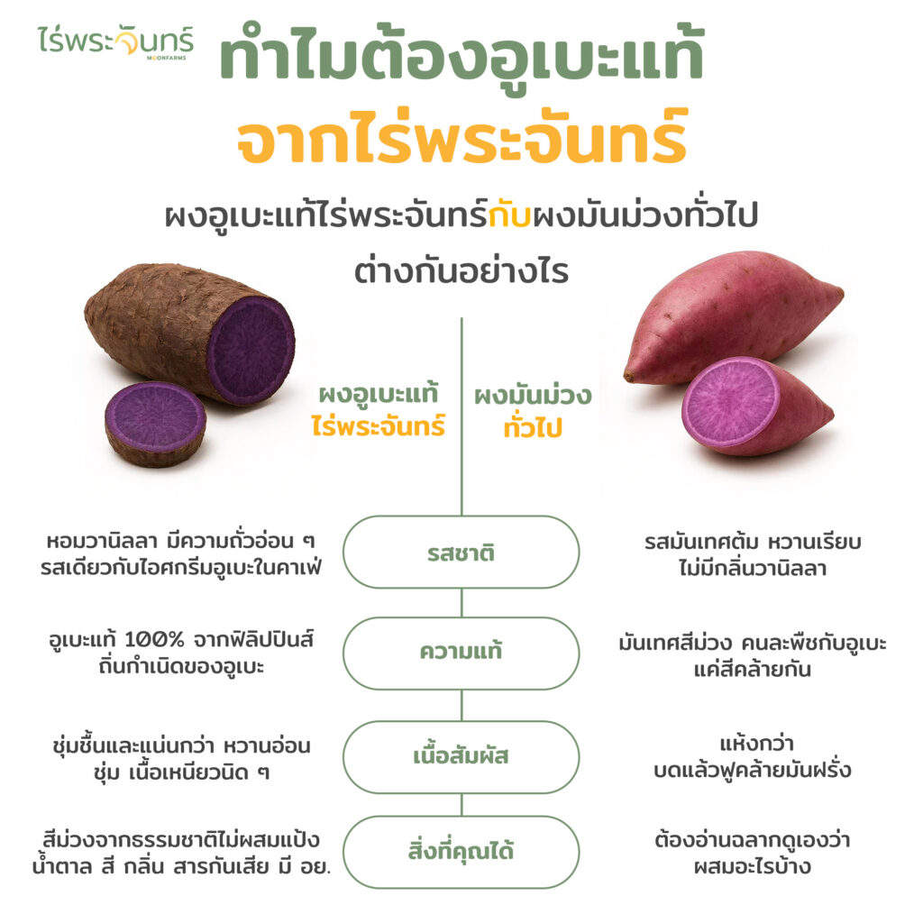 ผงมันม่วงอูเบะ 17 ผงมันม่วงอูเบะ ผงอูเบะมันม่วง มันม่วงผง UBE POTATO POWDER ผงเบเกอรี่ Purple Yam Powder อูเบะล้าเต้ ชานมอูเบะ ไอศรีมอูเบะ