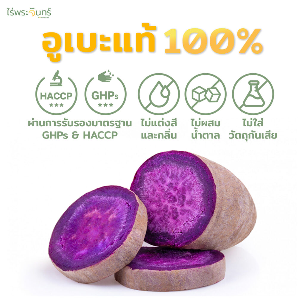 ผงมันม่วงอูเบะ 16 ผงมันม่วงอูเบะ ผงอูเบะมันม่วง มันม่วงผง UBE POTATO POWDER ผงเบเกอรี่ Purple Yam Powder อูเบะล้าเต้ ชานมอูเบะ ไอศรีมอูเบะ