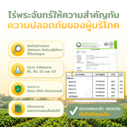 เมล็ดแมงลัก Basil Seeds เม็ดแมงลัก เมล็ดแมงลักแห้ง ธัญพืช แมงลัก